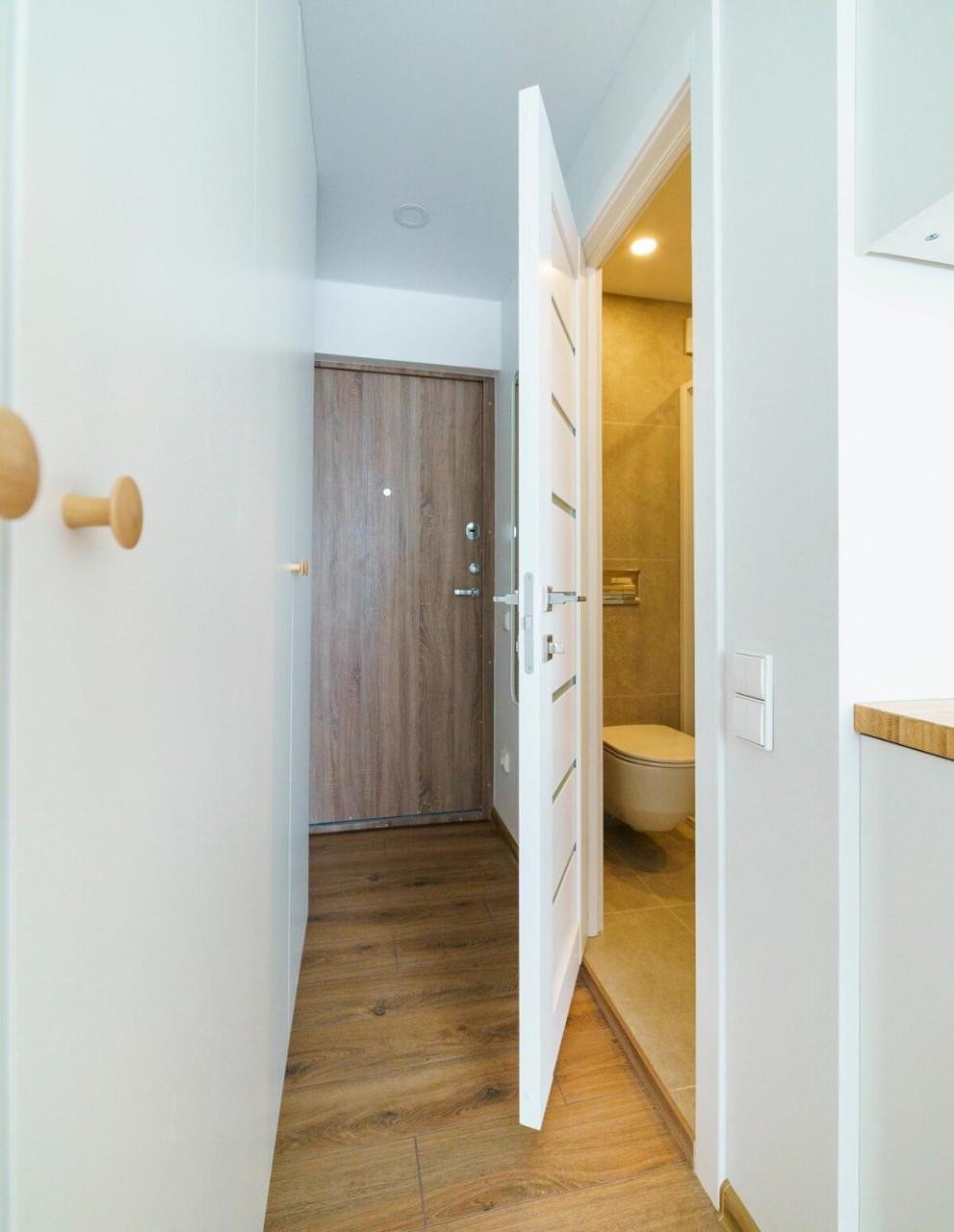 Stylish Studio in Vilnius III 1