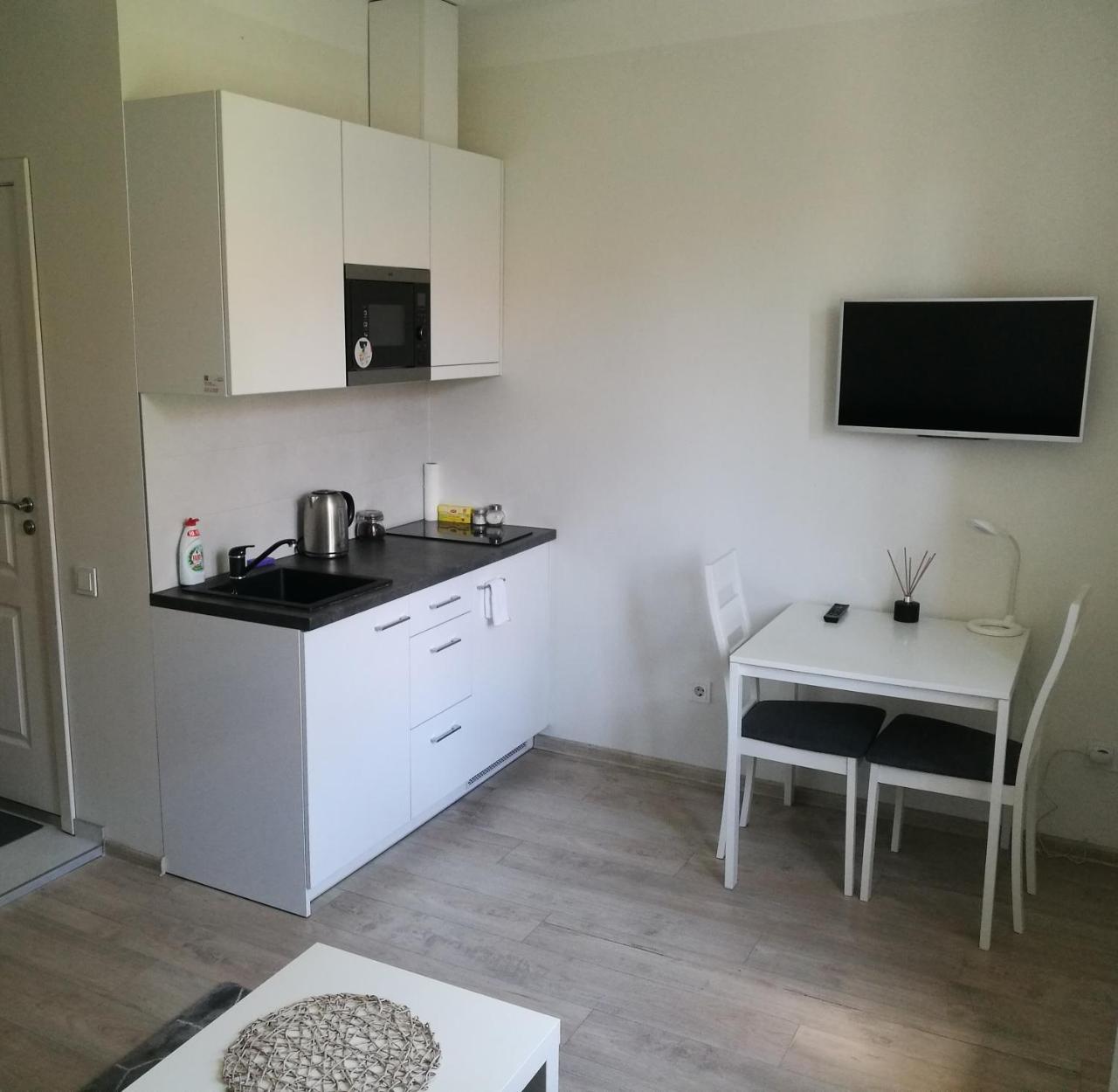 Vilnius Town Apartmen