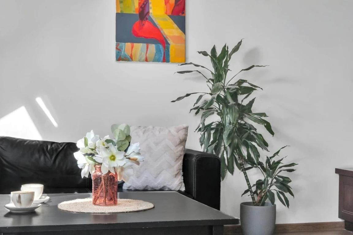 Vilnius Old Town Amber Penthouse