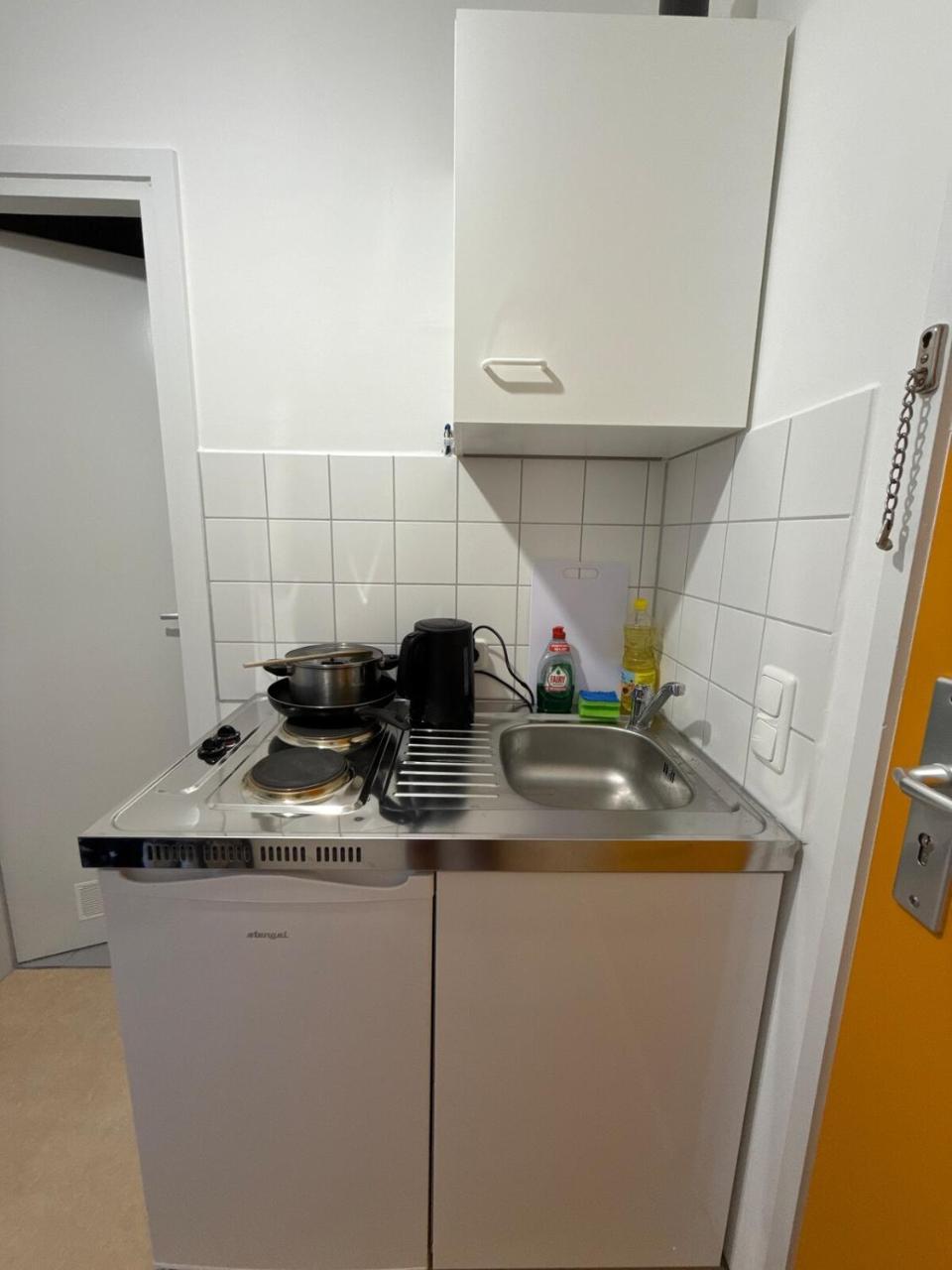 Bright Studio Near City & Nature