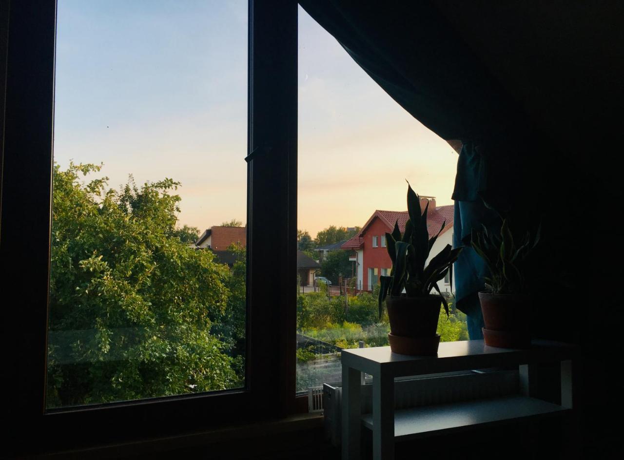 Room in a Scandinavian Style House 2