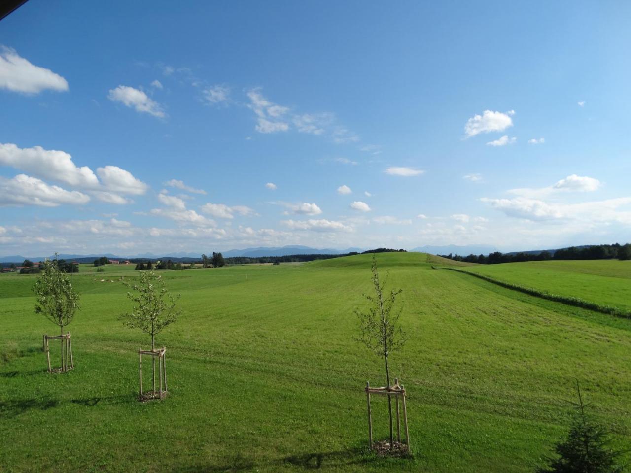 Ferienwohnung Wallberg 1