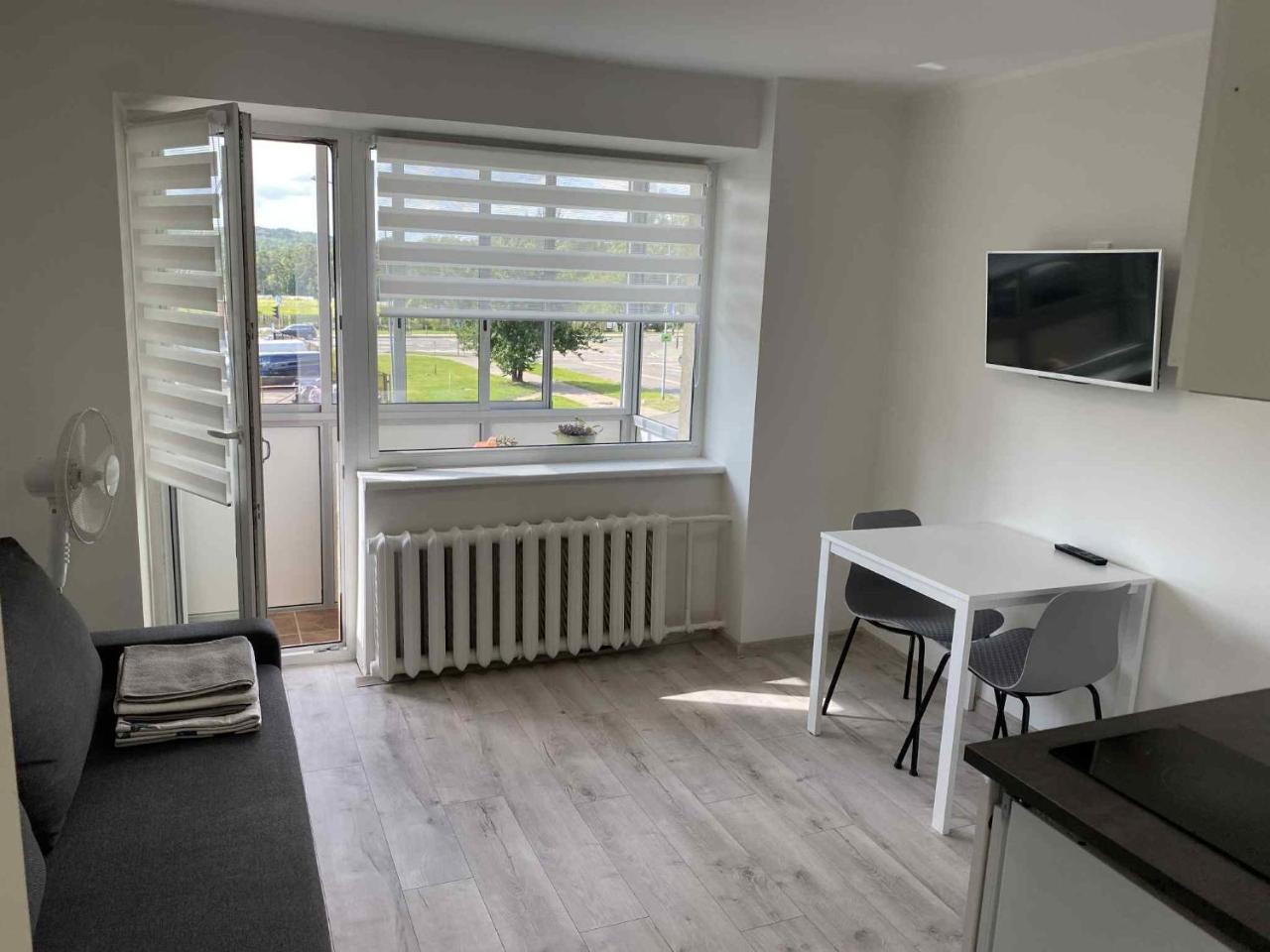 Vilnius Apartment with Balcony 2