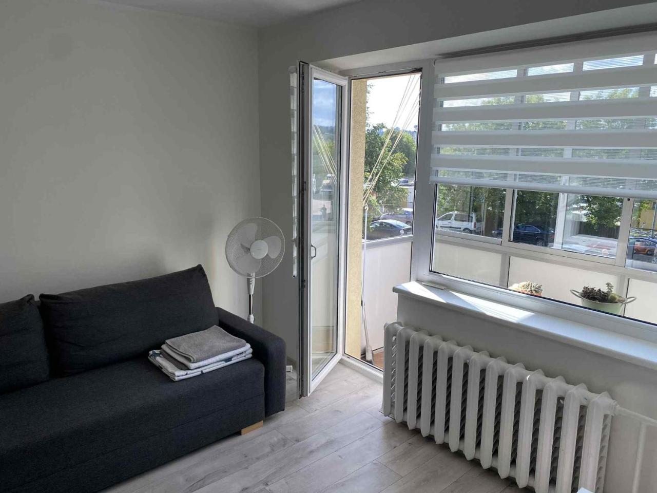 Vilnius Apartment with Balcony 1