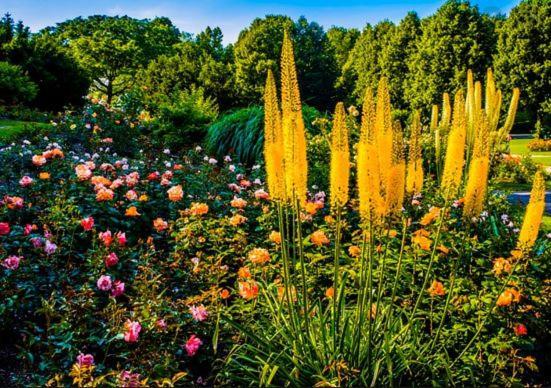 Nice Apartment in Der Center of Munich 1