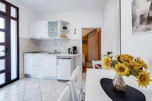 Apartment Ivona with Teracce 2