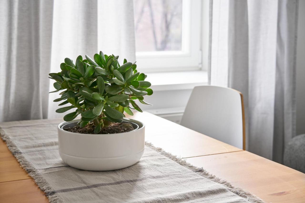 Cute&Light Apartment, Vilnius City Centre 2