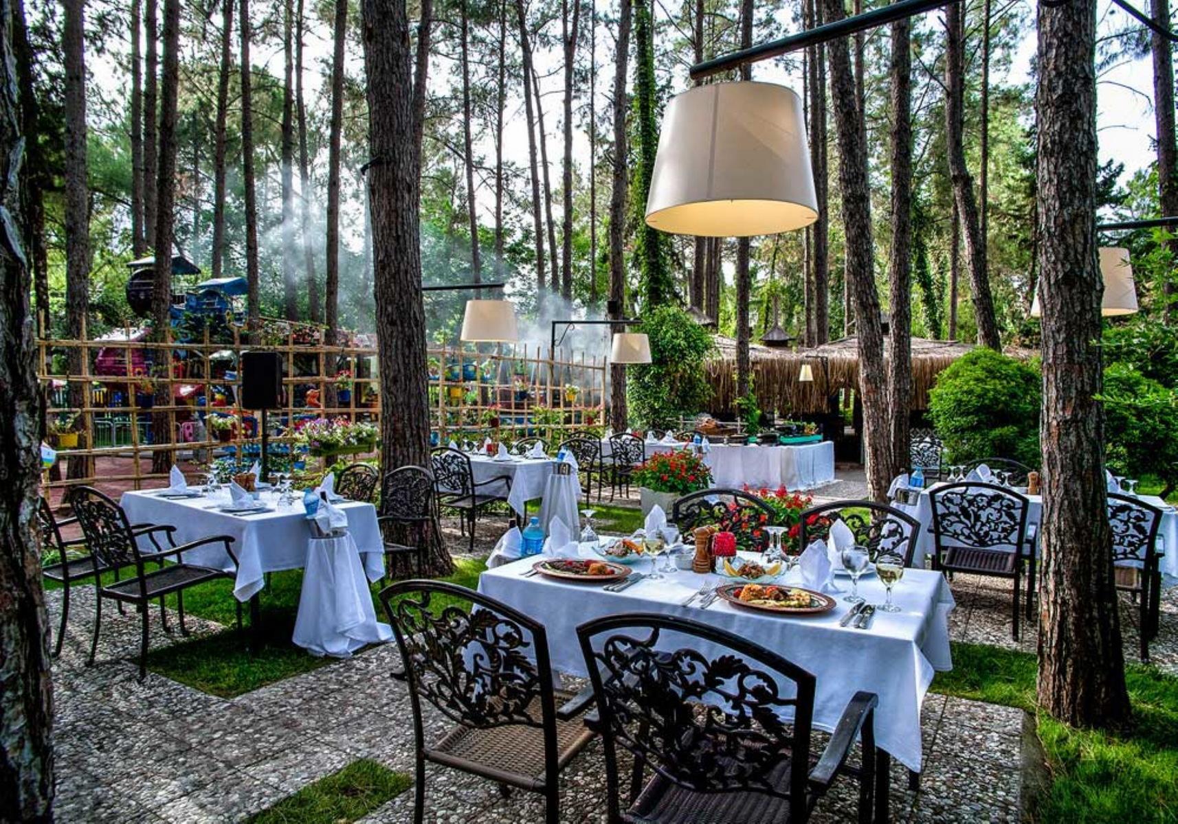 Gypsophila Club Marine 1