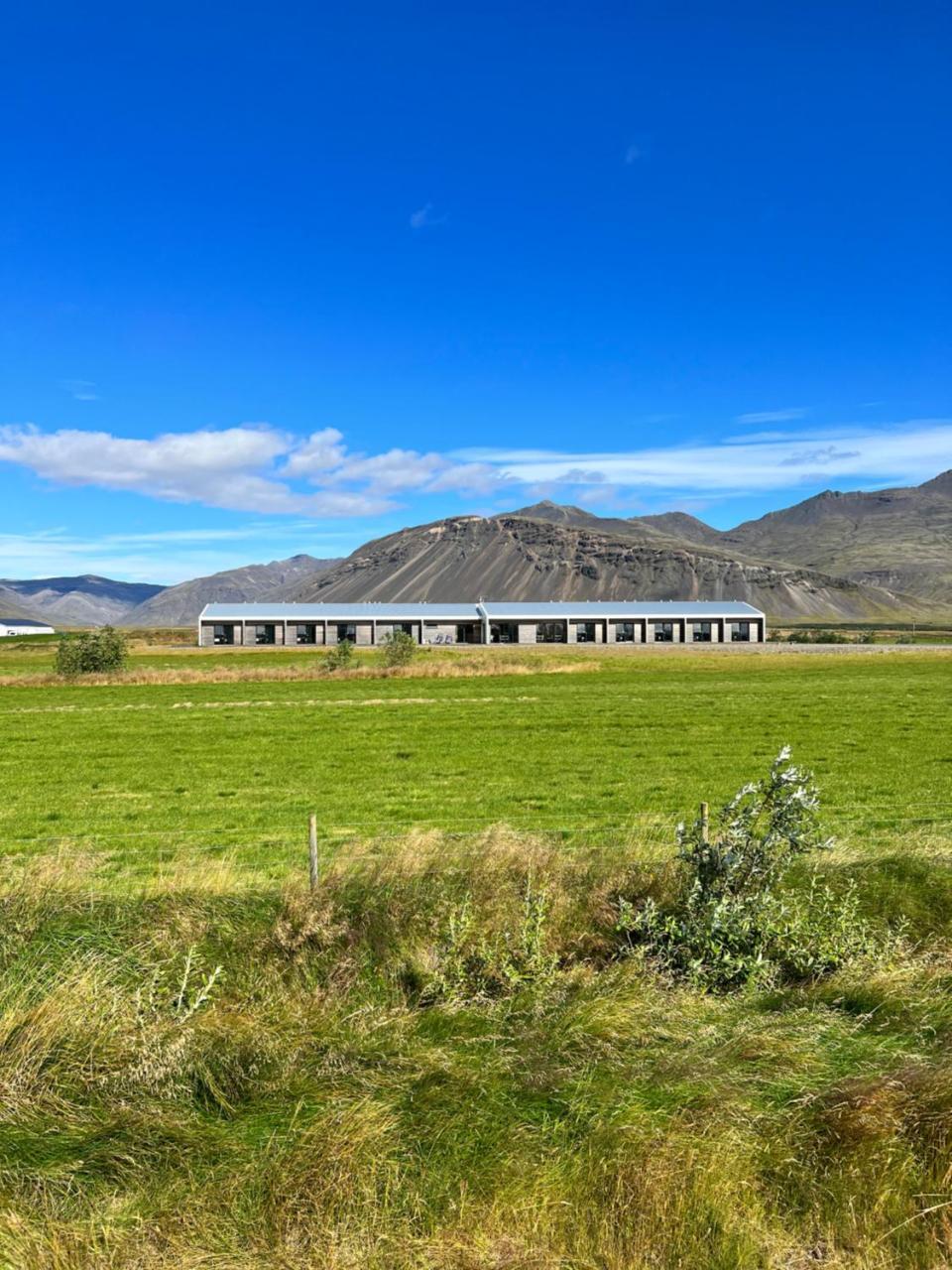 Seljavellir Guesthouse