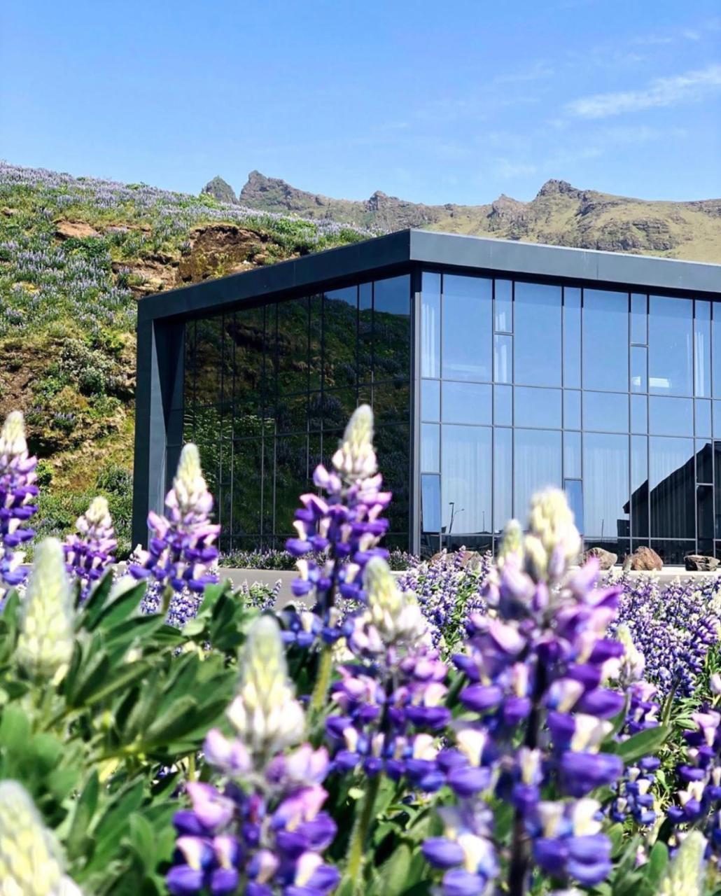 Hotel Vik I Myrdal 2