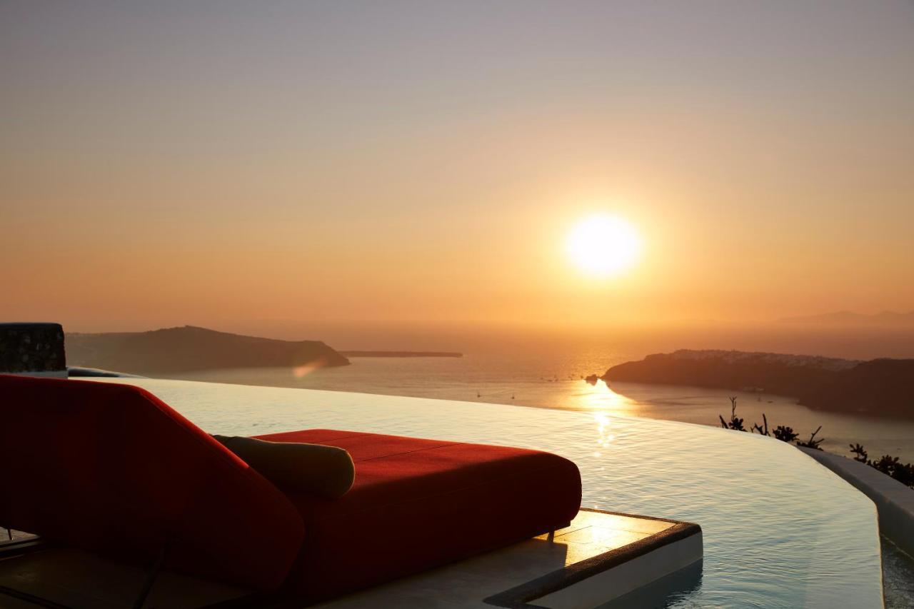 White Pearl Cavalieri (Adults only) 2