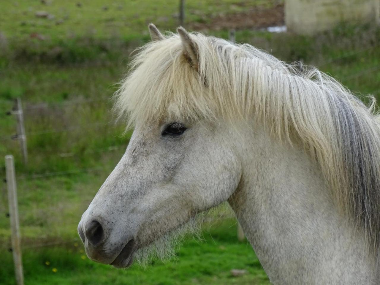 1a Guesthouse (Adults Only) 2