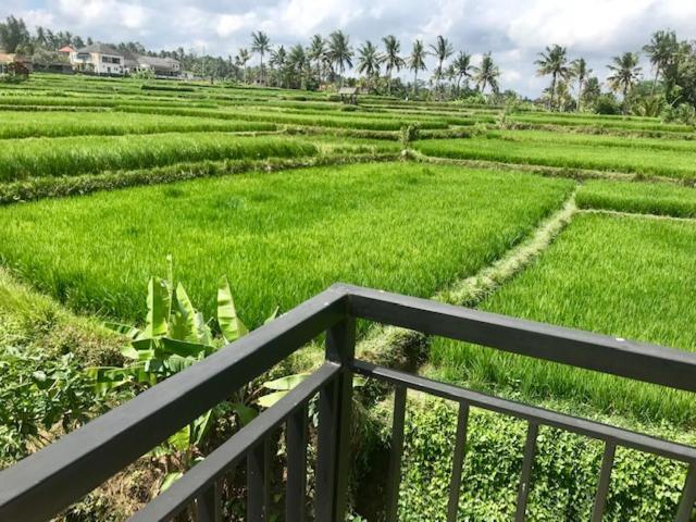 Puri Prana Guest House 2