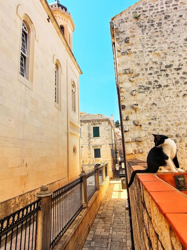 Heart of the City Apartments