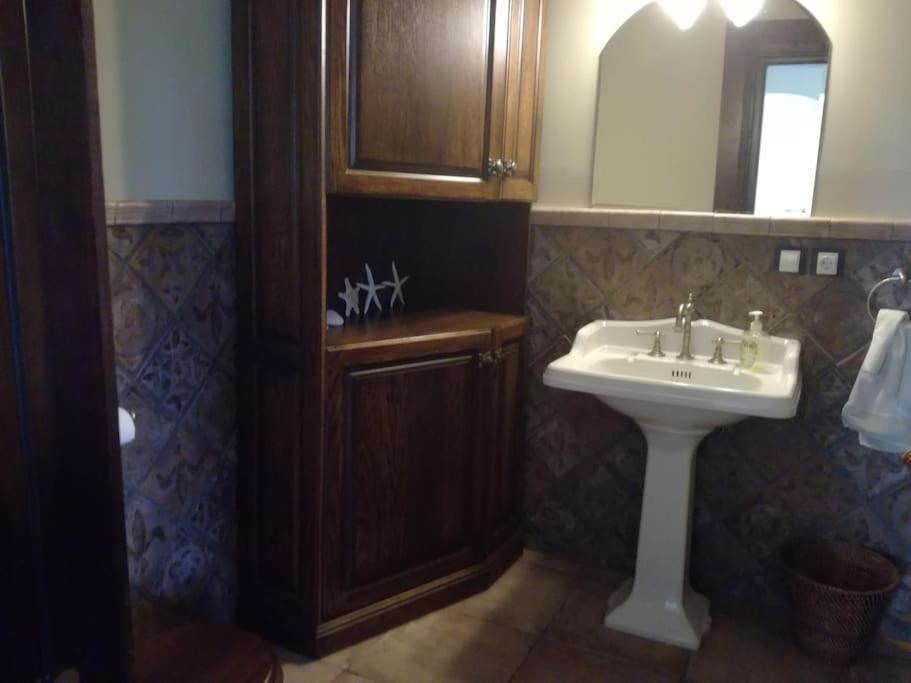 Forest Apartment in the Loop of the River Neris 2