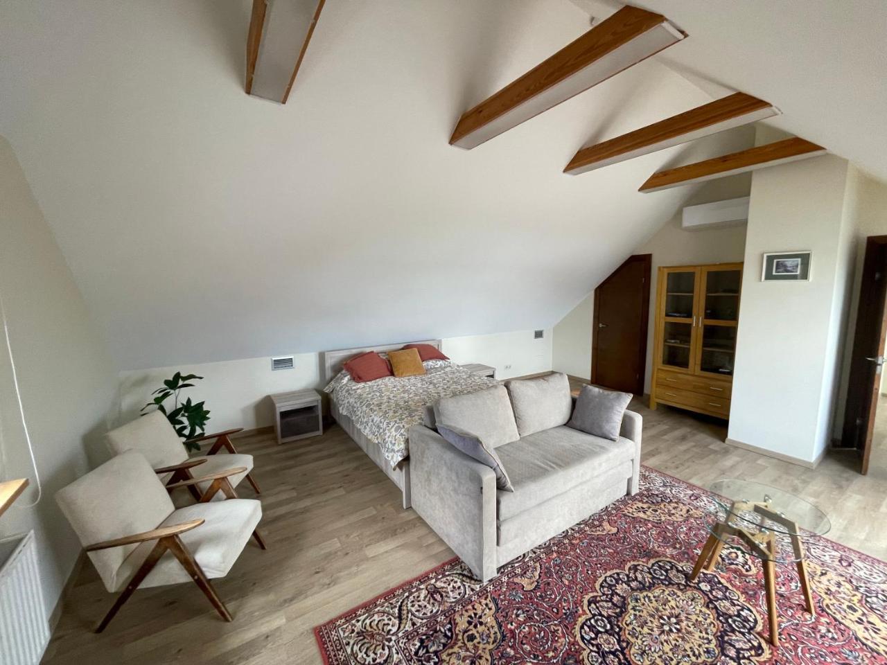 Trakai Castle View Villa55 1