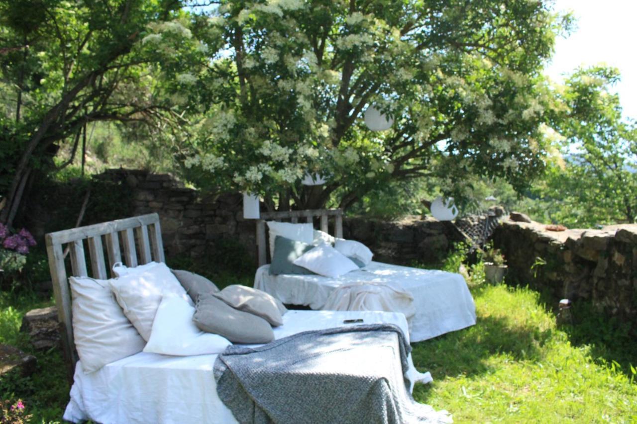 Mas El Mir (Adults only) 1