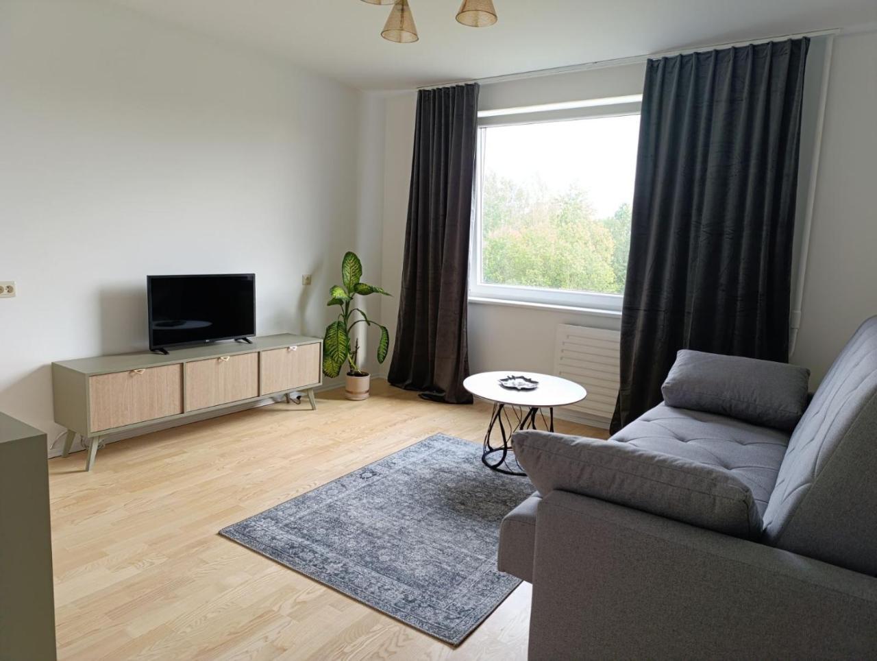 Green New Vilnius Apartment