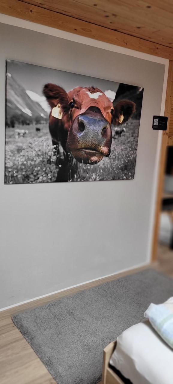 Pension Schlafstuhl 1