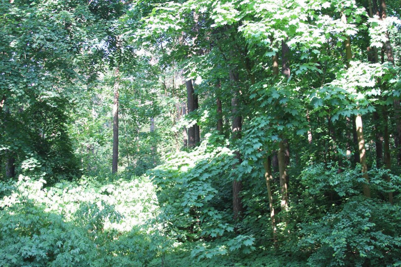 Vingis Park Apartments with 2 Bedrooms & Free Parking