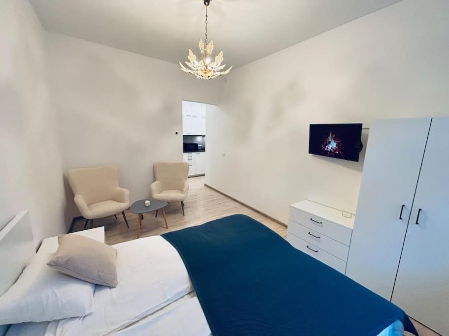 Bright Vilnius Center Apartment 1