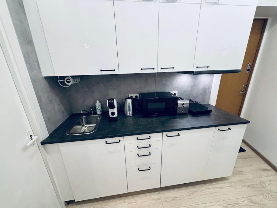 Bright Vilnius Center Apartment 2