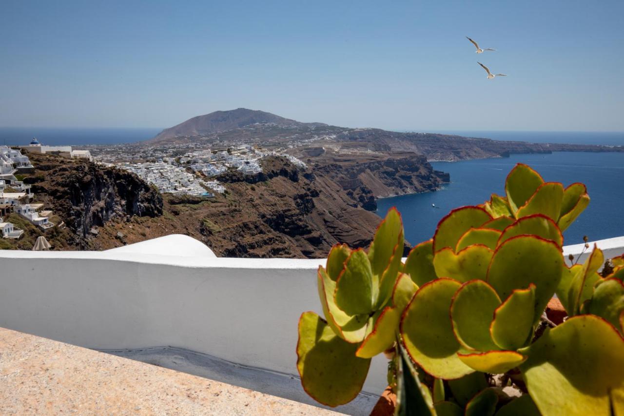 Santorini Folia Bianca 2