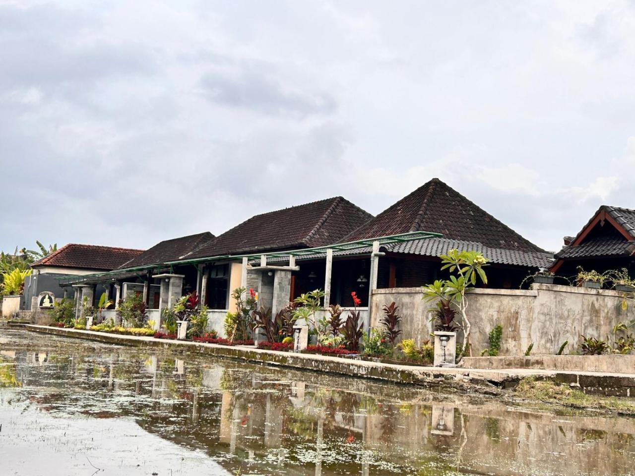 Ketut's Place Penestanan Ubud 2