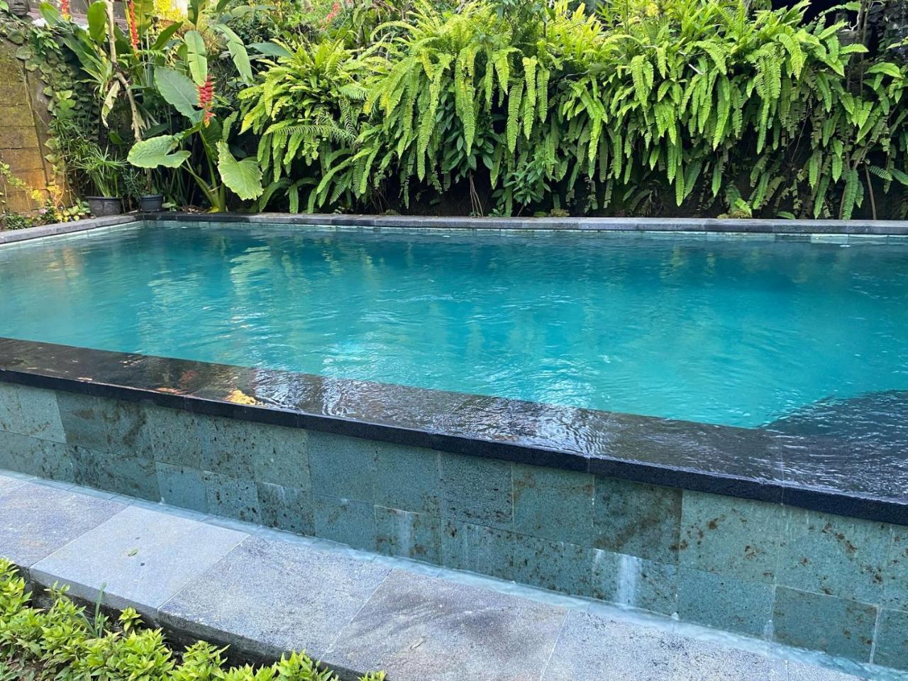 Sabar House Ubud View by Eps 1