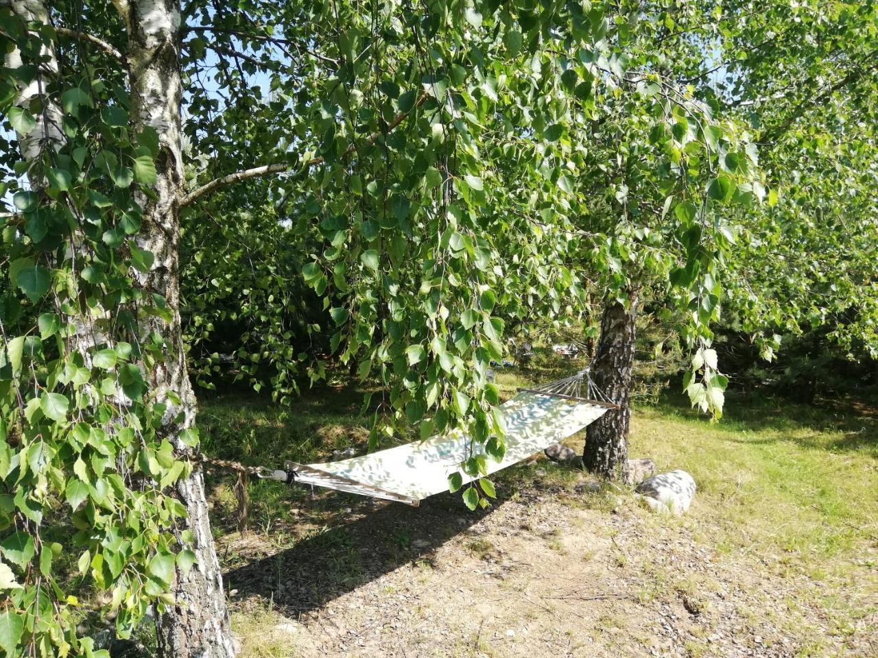 Glamping Under the Pines 2