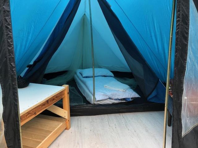 Glamping Under the Pines 1