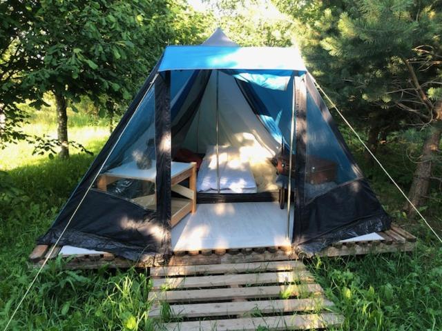 Glamping Under the Pines