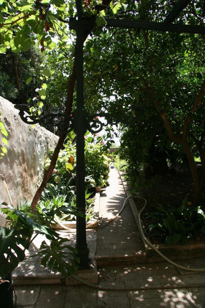 Ivo's Garden Studio Apartment, Near the Old Town 2