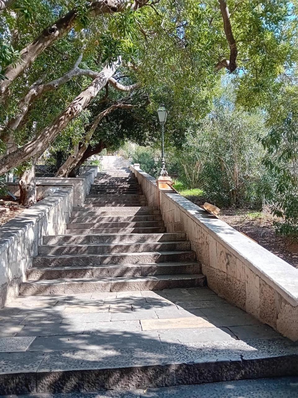 Ivo's Garden Prostran Stan U Blizini Starog Grada 1