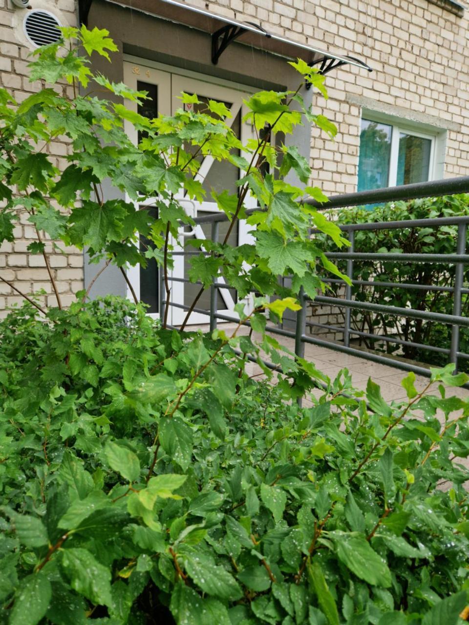 Apartamentai Grigiskes 1