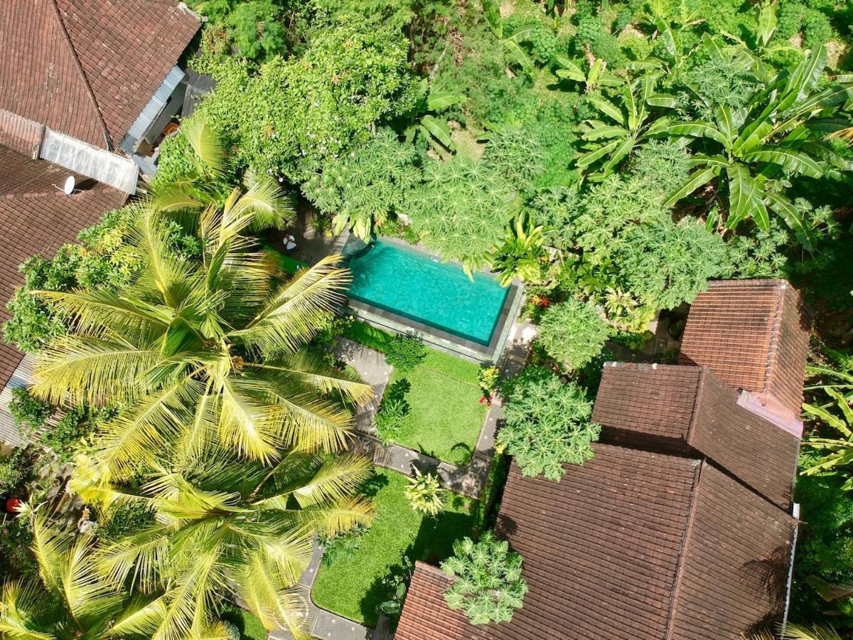 Dragonfly Private Garden Villa with Shared Pool (Adults Only) 2