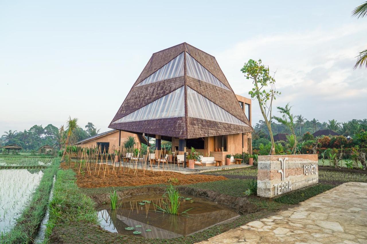 Terra Sayan (Adults Only) 1