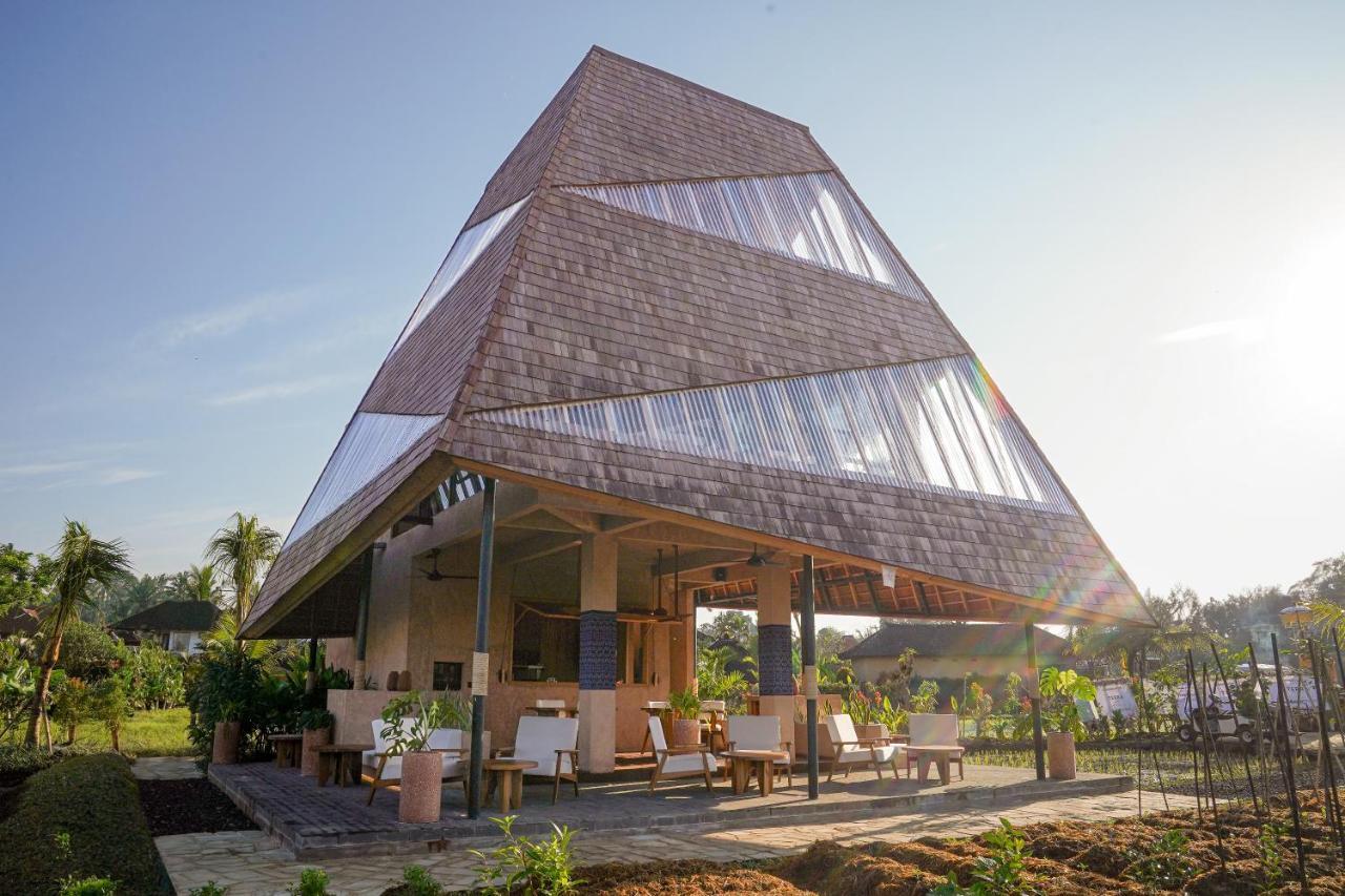 Terra Sayan (Adults Only) 2