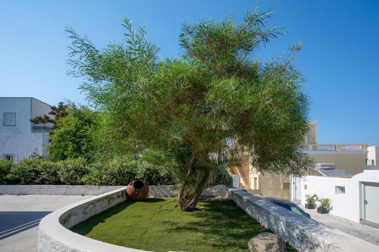 The Lemon Tree Studio 2