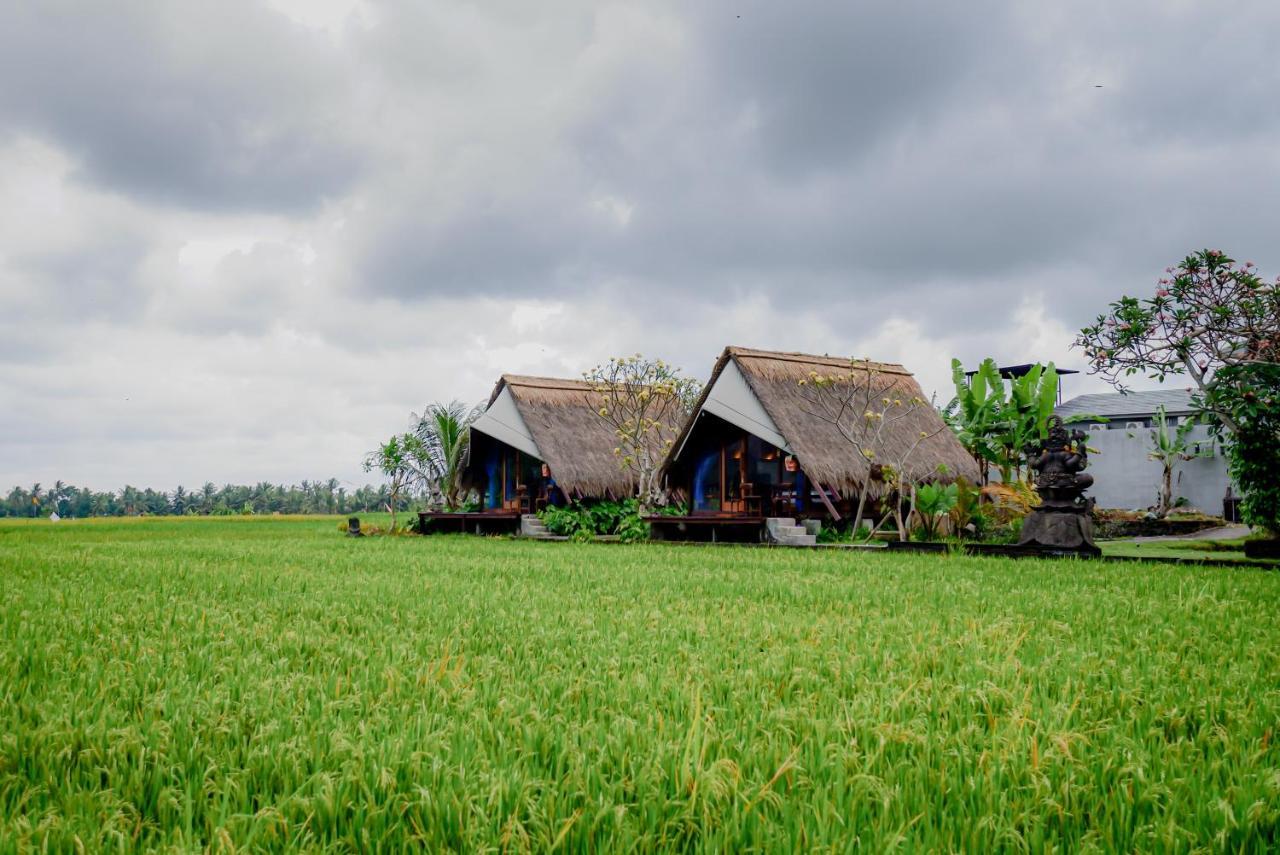 Ubud Rice Field Stay by Wahm Hotel Management 1