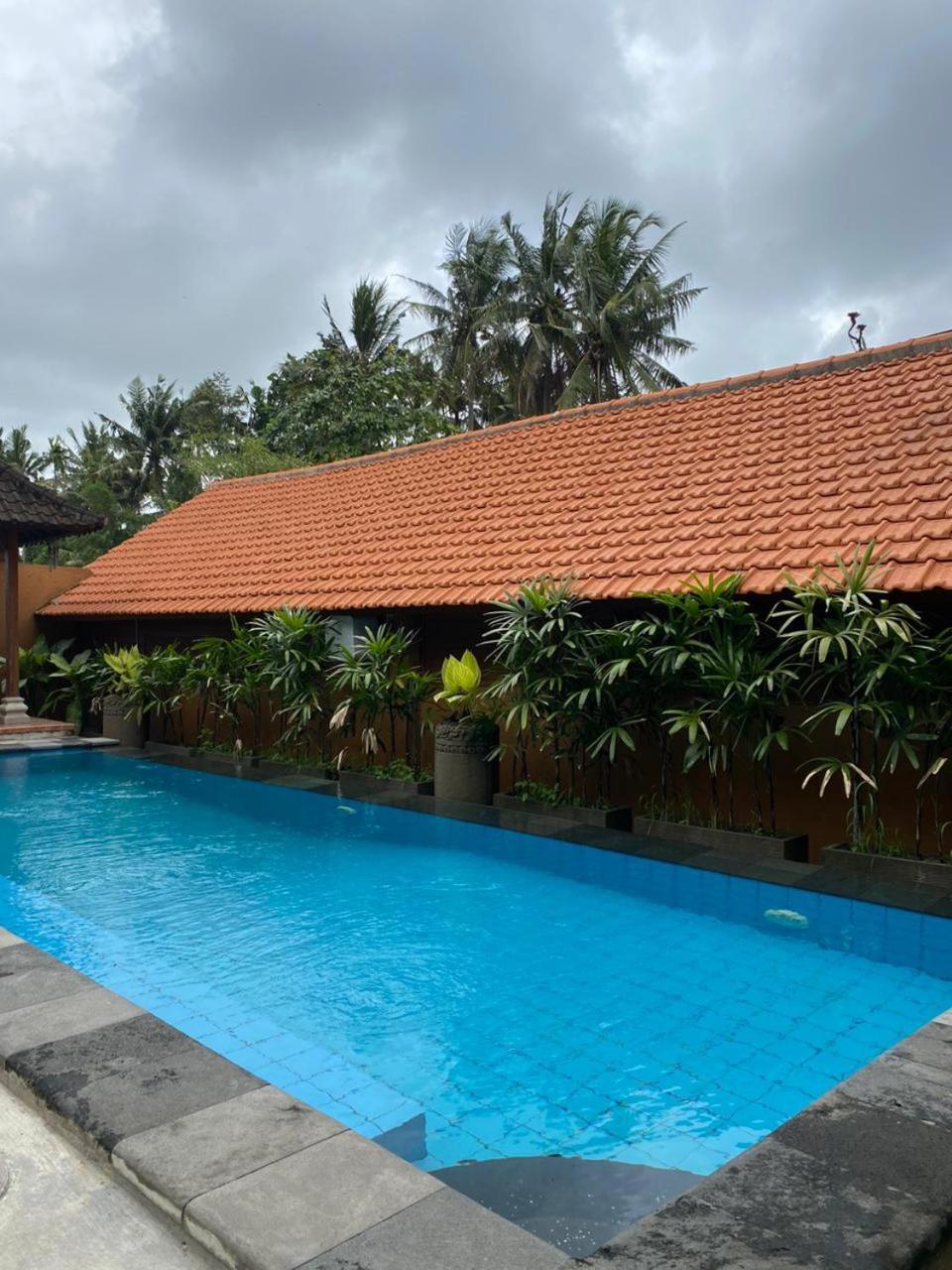 Nagasari Bloom Ubud 1