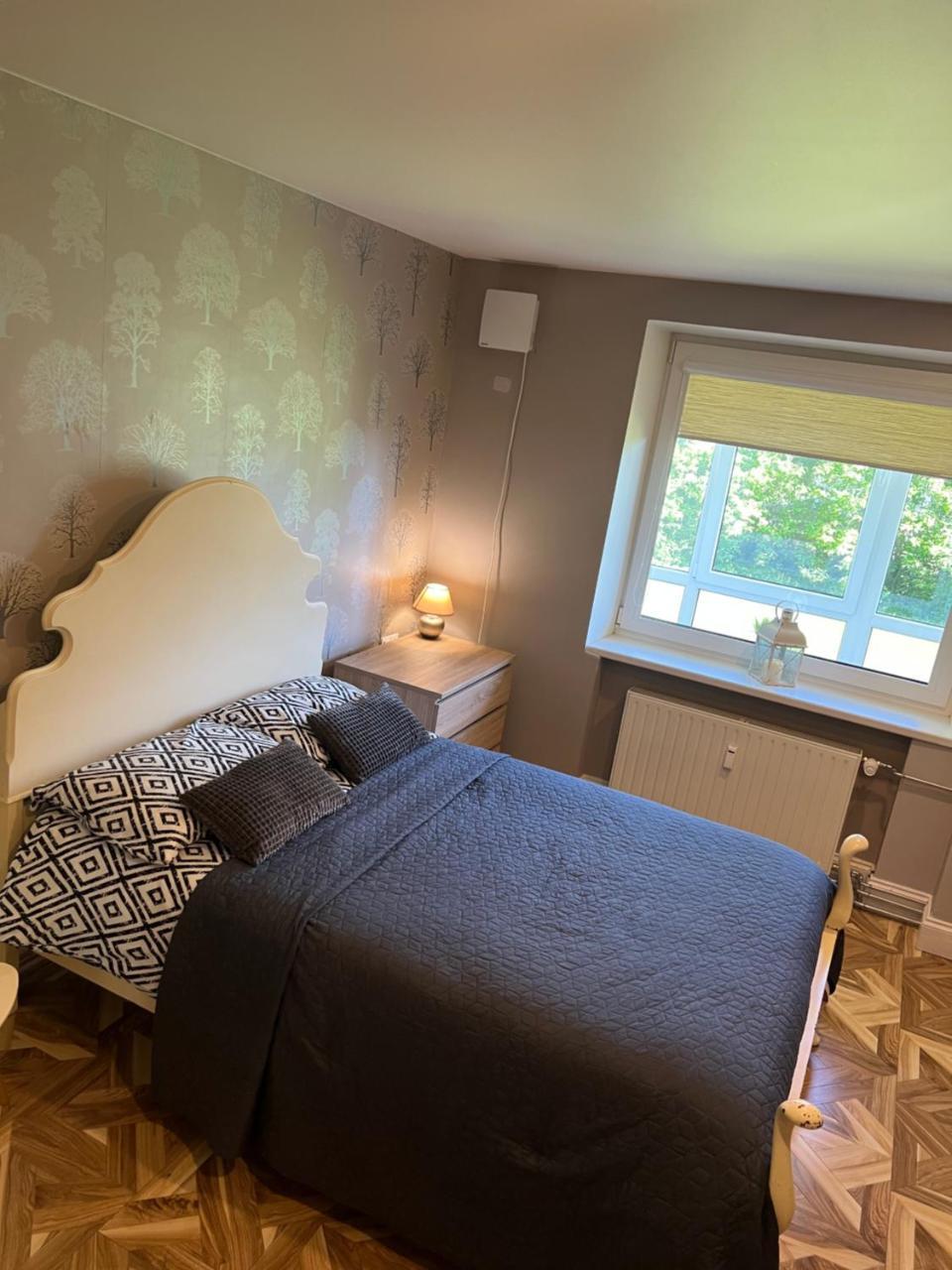 Apartamentas - Zalia Pusis