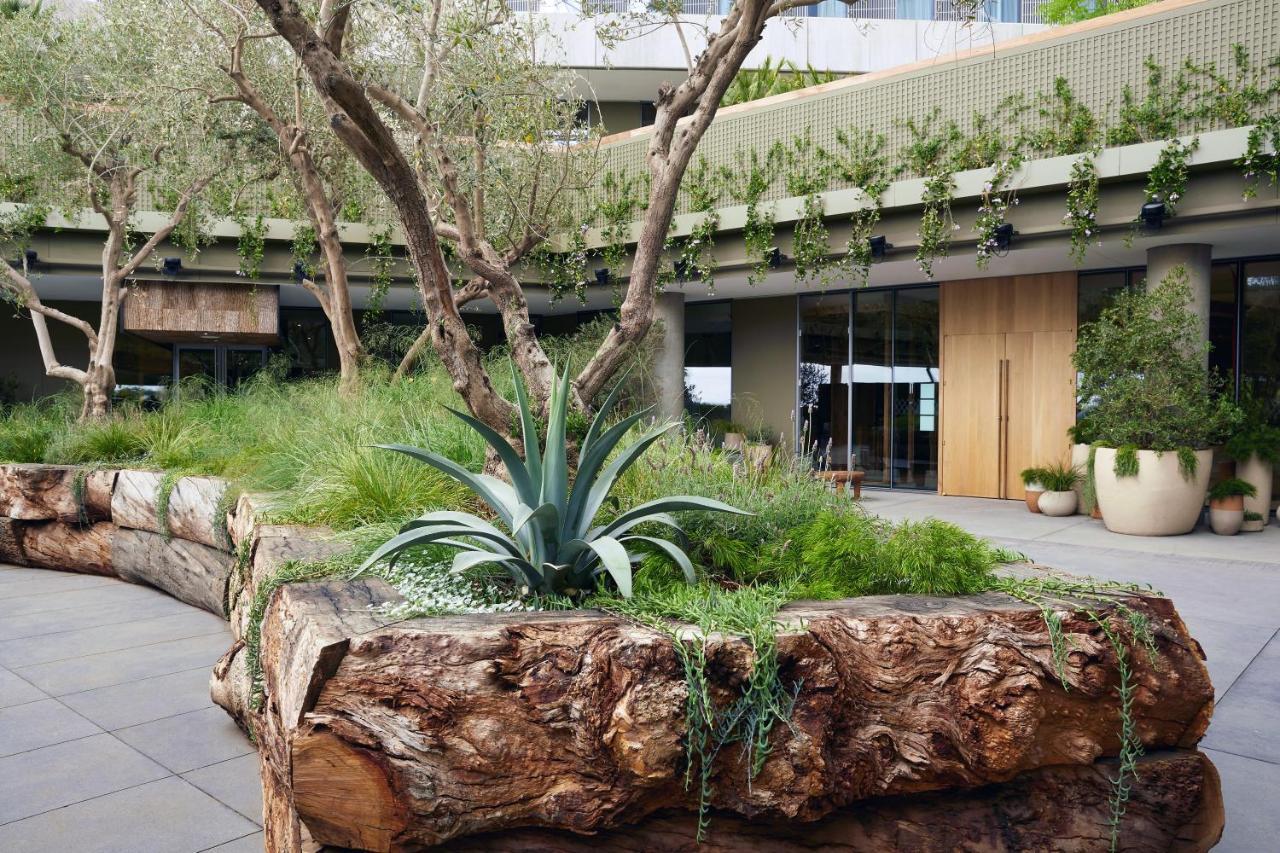 1 Hotel West Hollywood 2