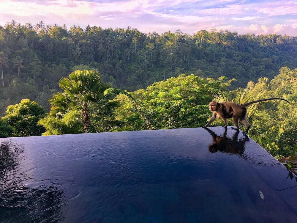 Hanging Gardens of Bali 2