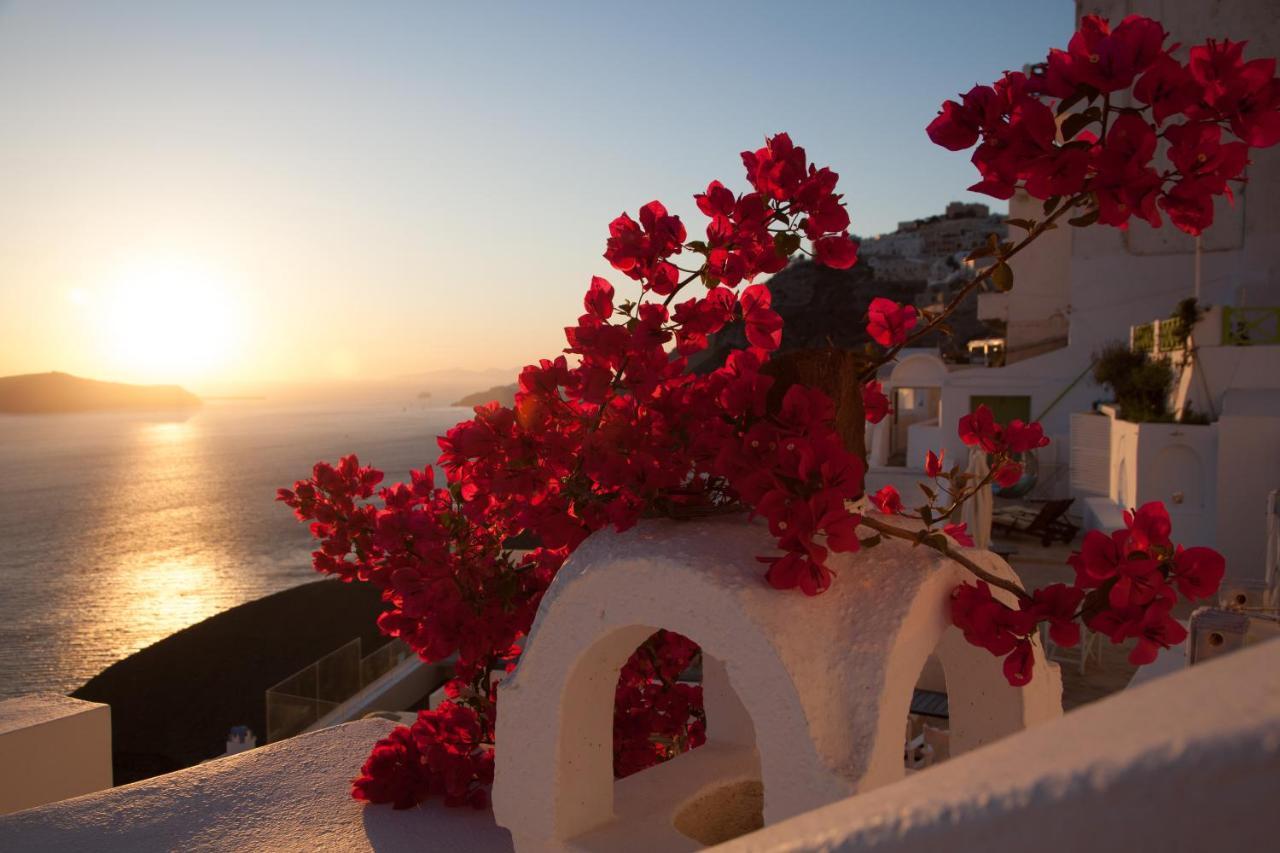 Asha Luxury Suites 2