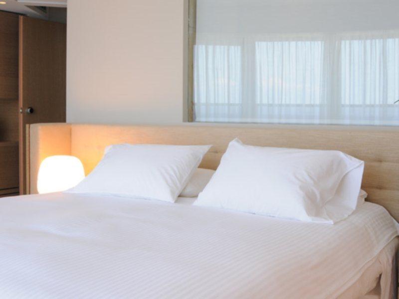 Cactus (Adults only) 1