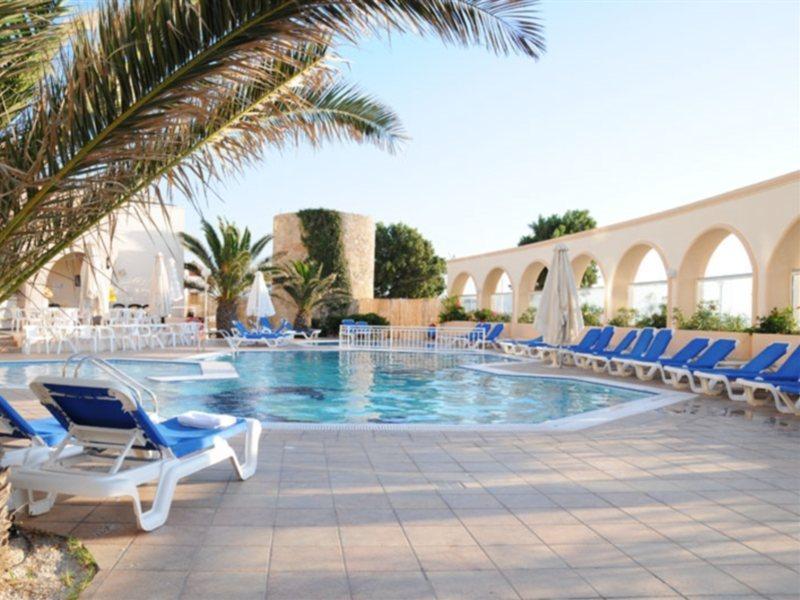 Cactus (Adults only) 2