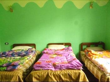 Safary Hostel