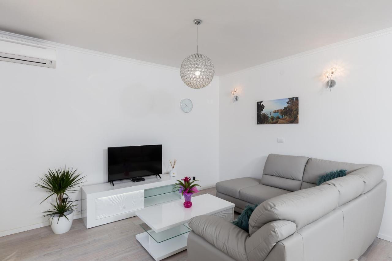 Apartment Pavlovic 1