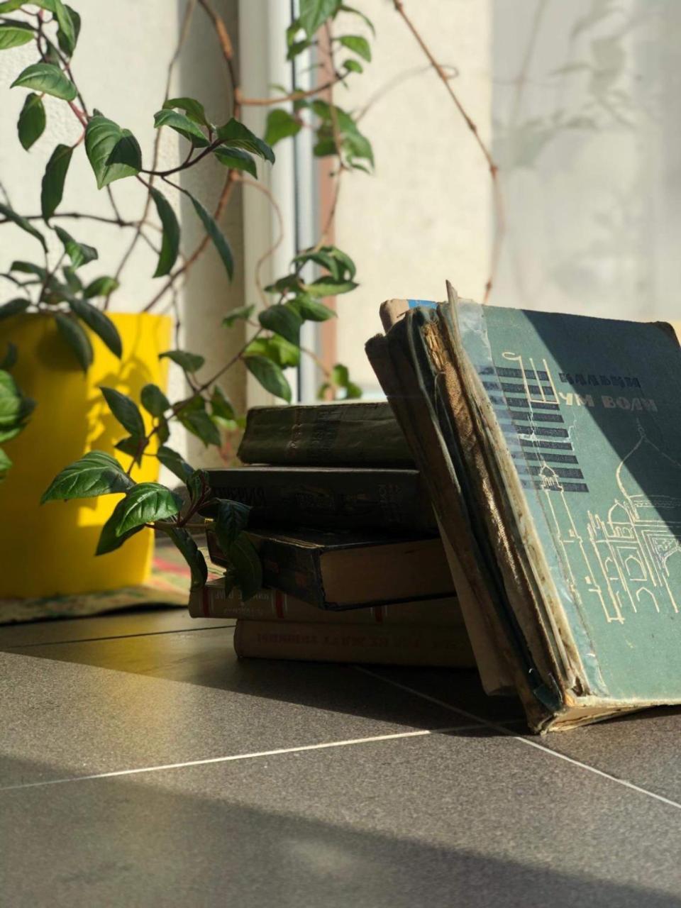 Natalex Micro Lofts 1